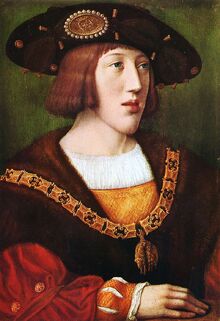 Charles V. - after Bernaerd van Orley - depot Louvre-Musée de Brou, Bourg-en-Bresse