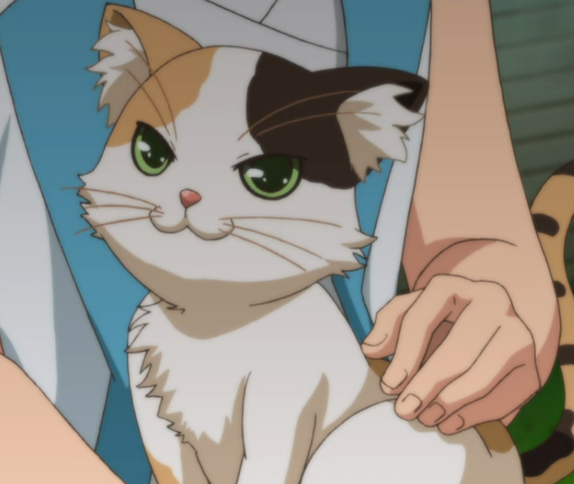 Calico Cat | Mondaiji tachi ga Isekai Kara Kuru Sō Desu yo? Wiki