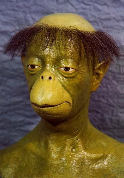 Kappa Wiki Diratia FANDOM powered by Wikia