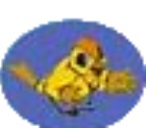 Canary