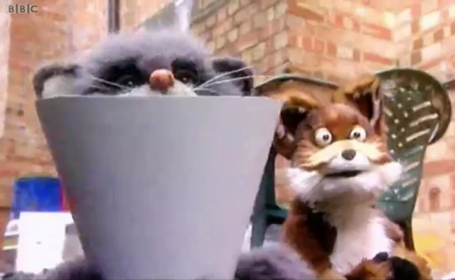 File:Nelson and marion-pitch reel.png