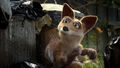 Thumbnail for version as of 14:04, January 15, 2012