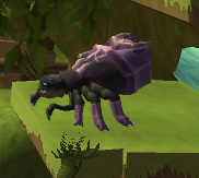 Small Spider 02