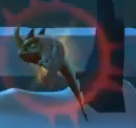 Draicon