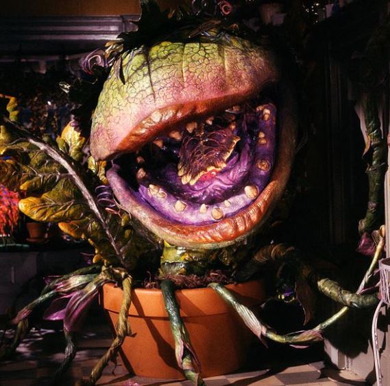 Audrey Ii Monster And Slashers Wiki Fandom 8124