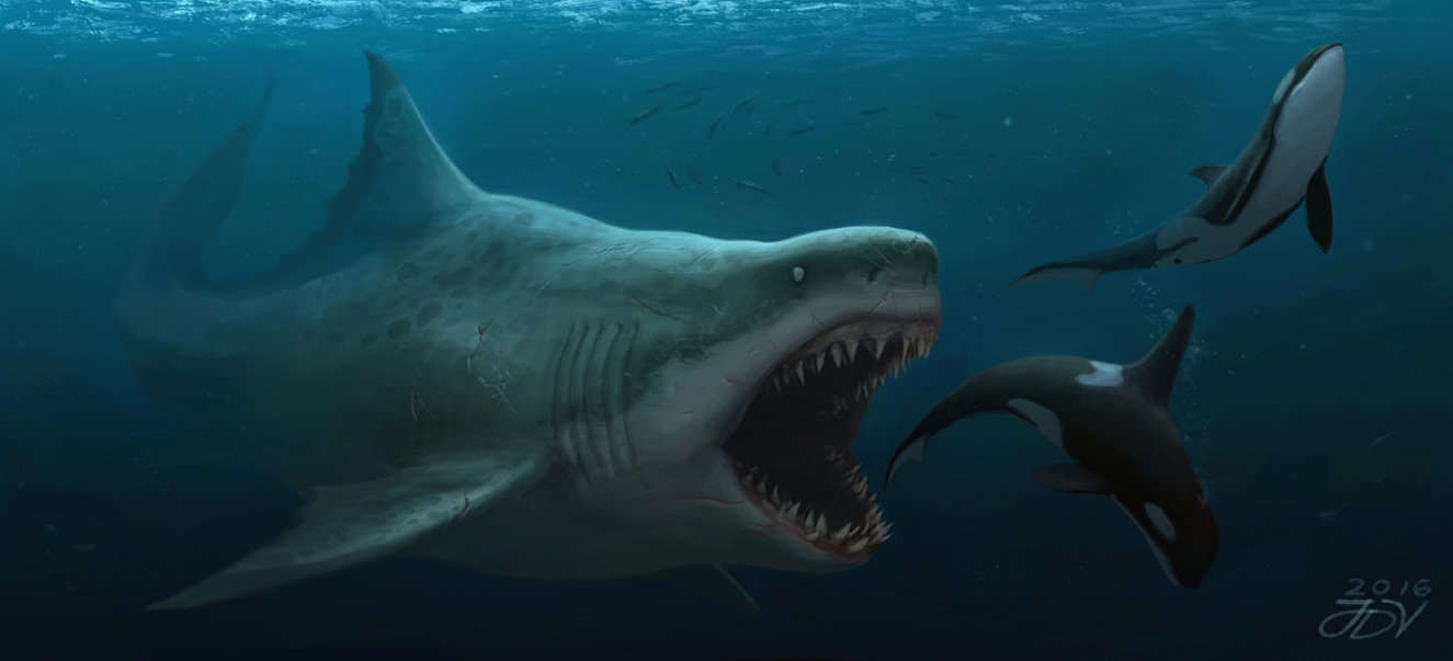 Megalodon | Monster Wiki | FANDOM powered by Wikia