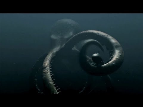 Organism 46b Organism 46b