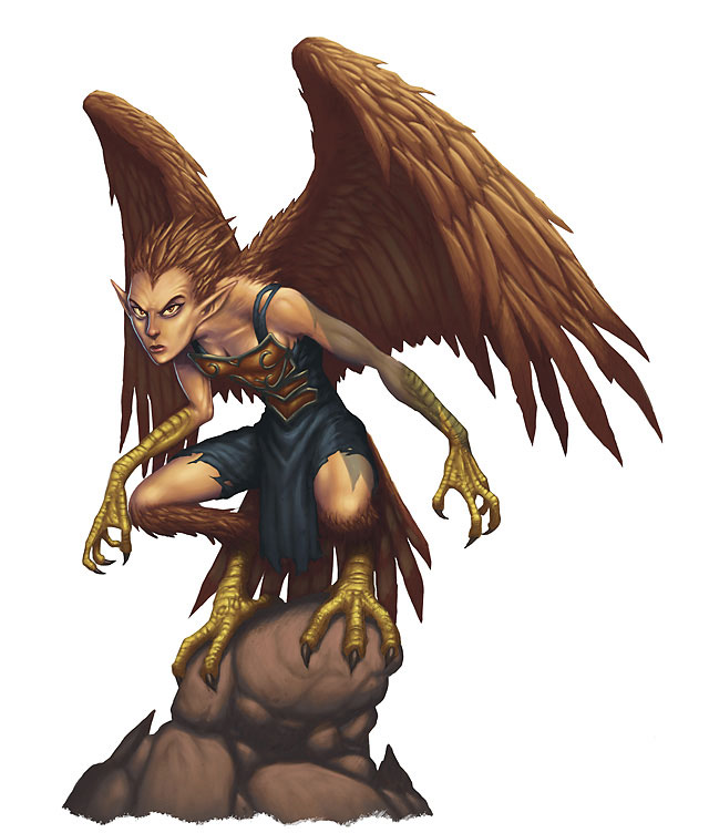 Harpy Monster Wiki Fandom Powered By Wikia