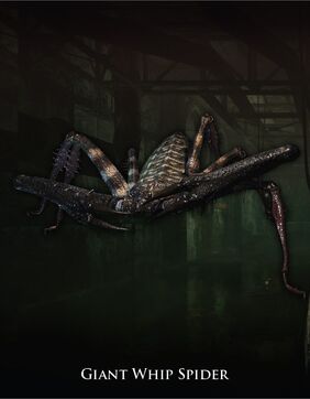 Giant whip spider