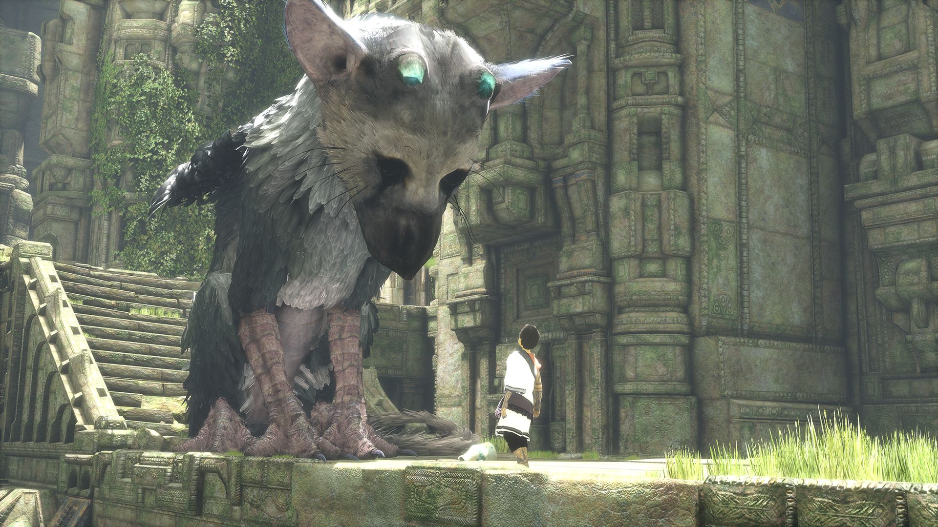 Resultado de imagen de trico