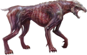 Feral