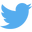 Twitter Social Icon