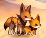 Coyotl