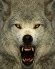 A44082ec04ea6a6e4155fbaff92889bc