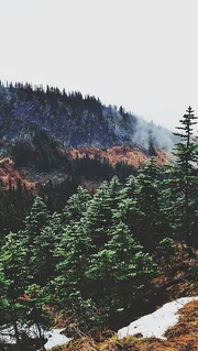 5b9a9cc27d5af1affad9cc56580b8926