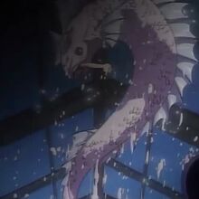 Pet Shop Of Horrors Monster Girls Wiki Fandom