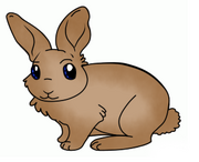 Króliczek
