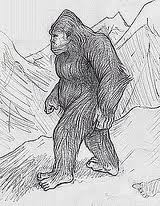 Yeti