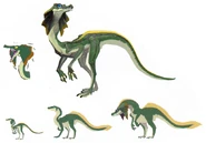 Green-Jaggi-Concept