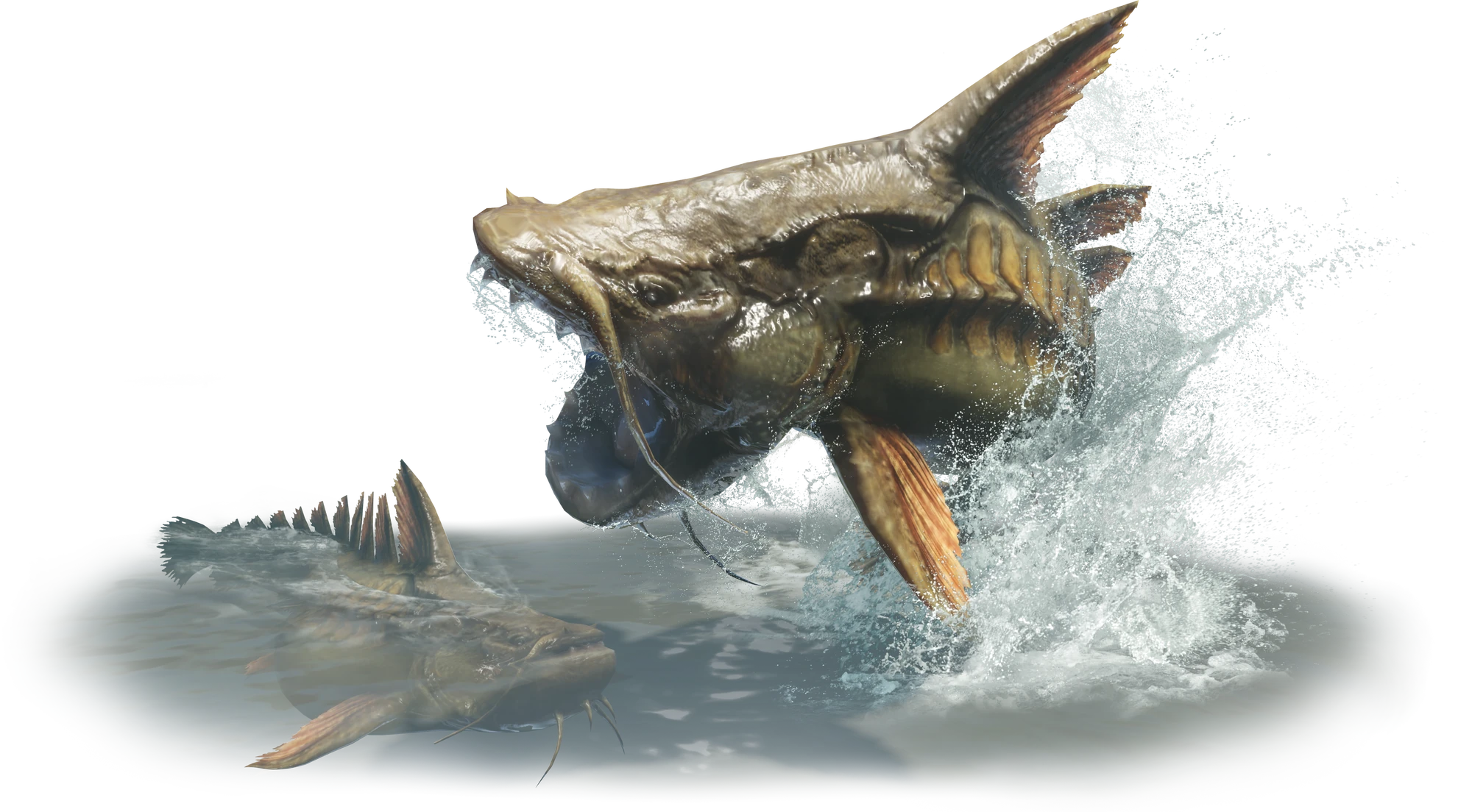 Fish (Monster Type) | Monster Hunter Wiki | Fandom