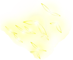 Monster hunter generations ultimate village key quests