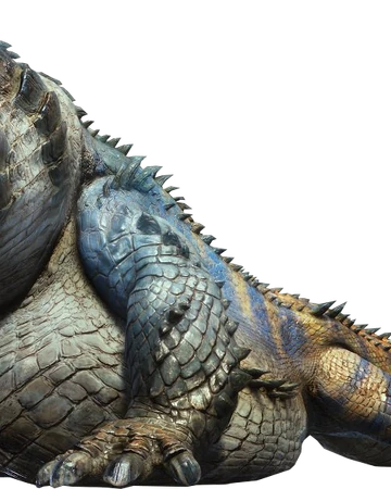 Monster Matchup Tobi Kadachi Monster Hunter World Youtube