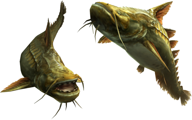 File:3rdGen-Fish Render 005.png