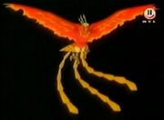 Phoenix 4