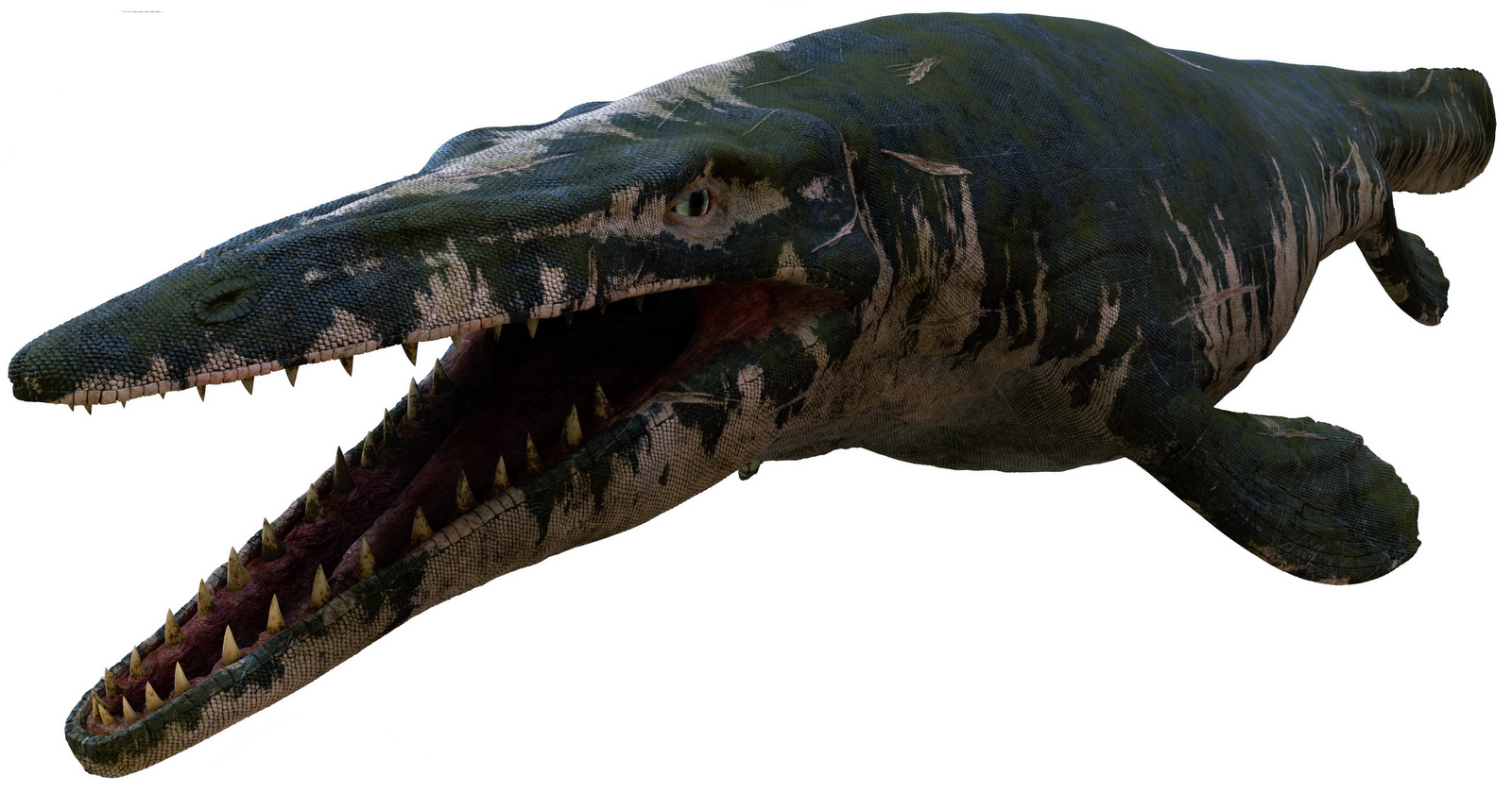 giant mosasaur