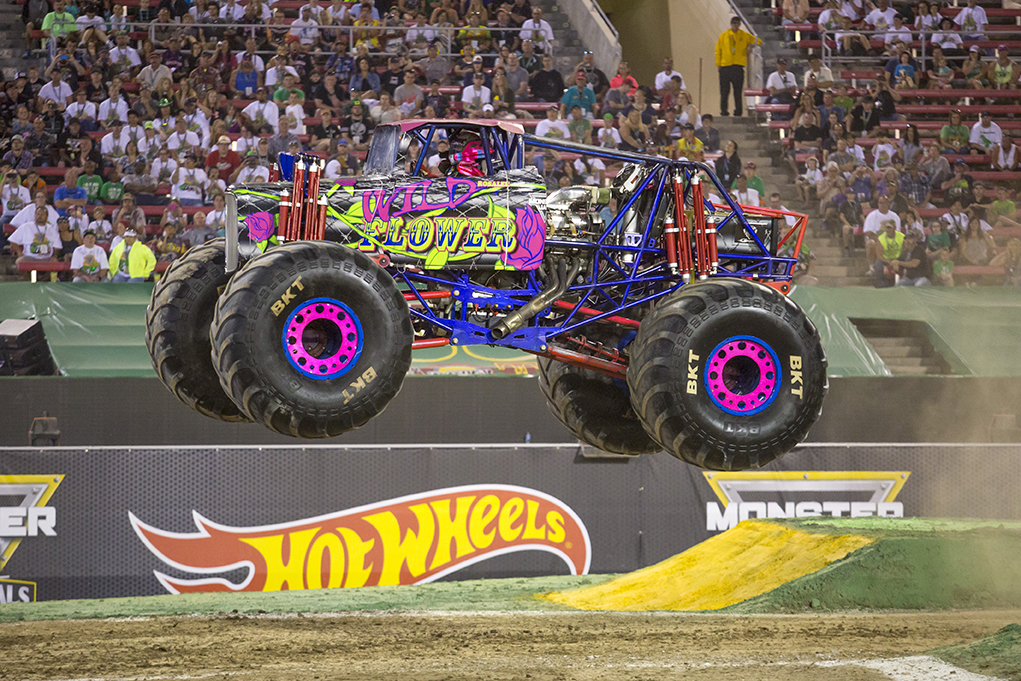 monster jam wildflower toy