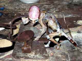 Alien baby mexiko-1-