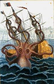 MontfortKraken