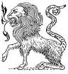Images-6-