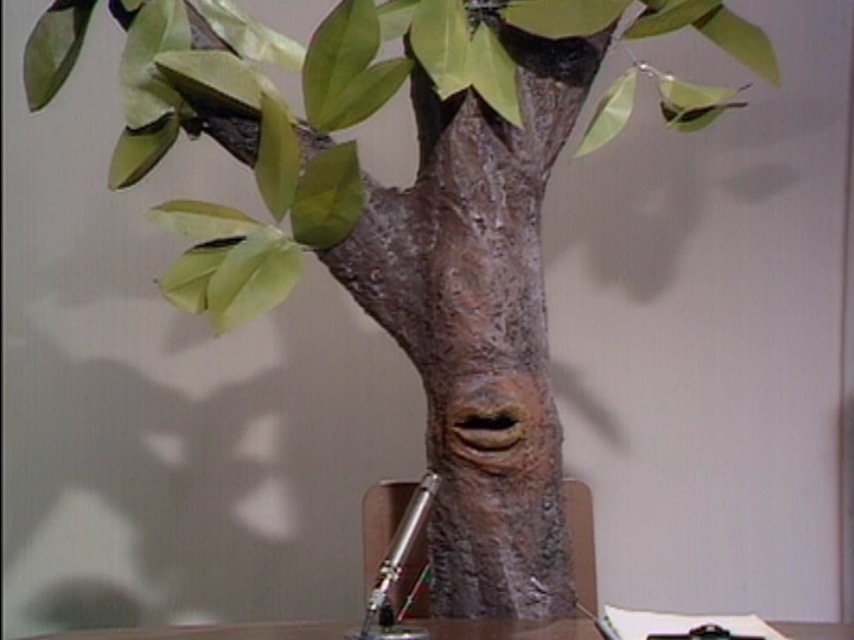 It's A Tree | Monty Python Wiki | Fandom