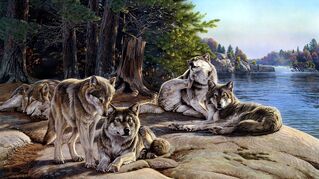 WolfPackArt