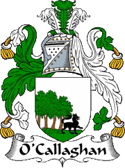O'Callaghan Coat of Arms