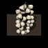 Knoblauch