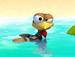 SchwimmhuhnMHP