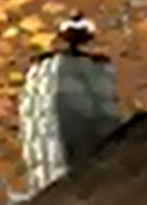 Schornsteinhuhn MHX