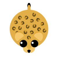 Leopard2