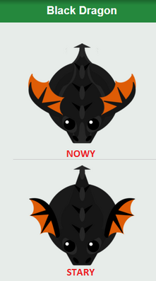 Smoki