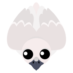Pigeon-0