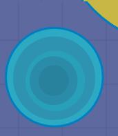 Wir