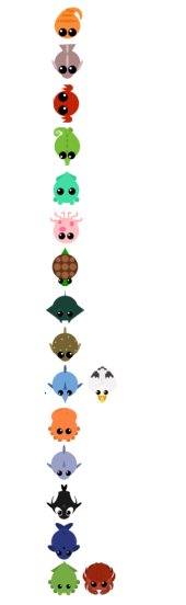 Sea evolution tree