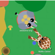 GirrafeElephantattack