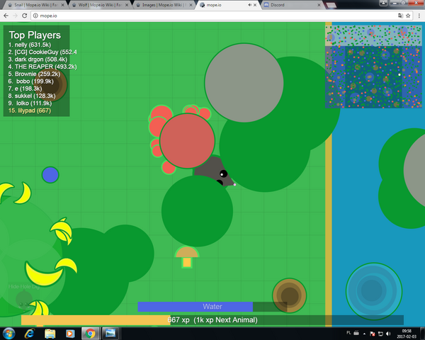 File:Constrainedmole.png