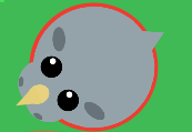 Rhino horn