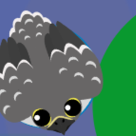 Falcon-0