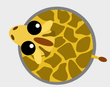 Żyrafa 2