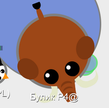 Mamut-0